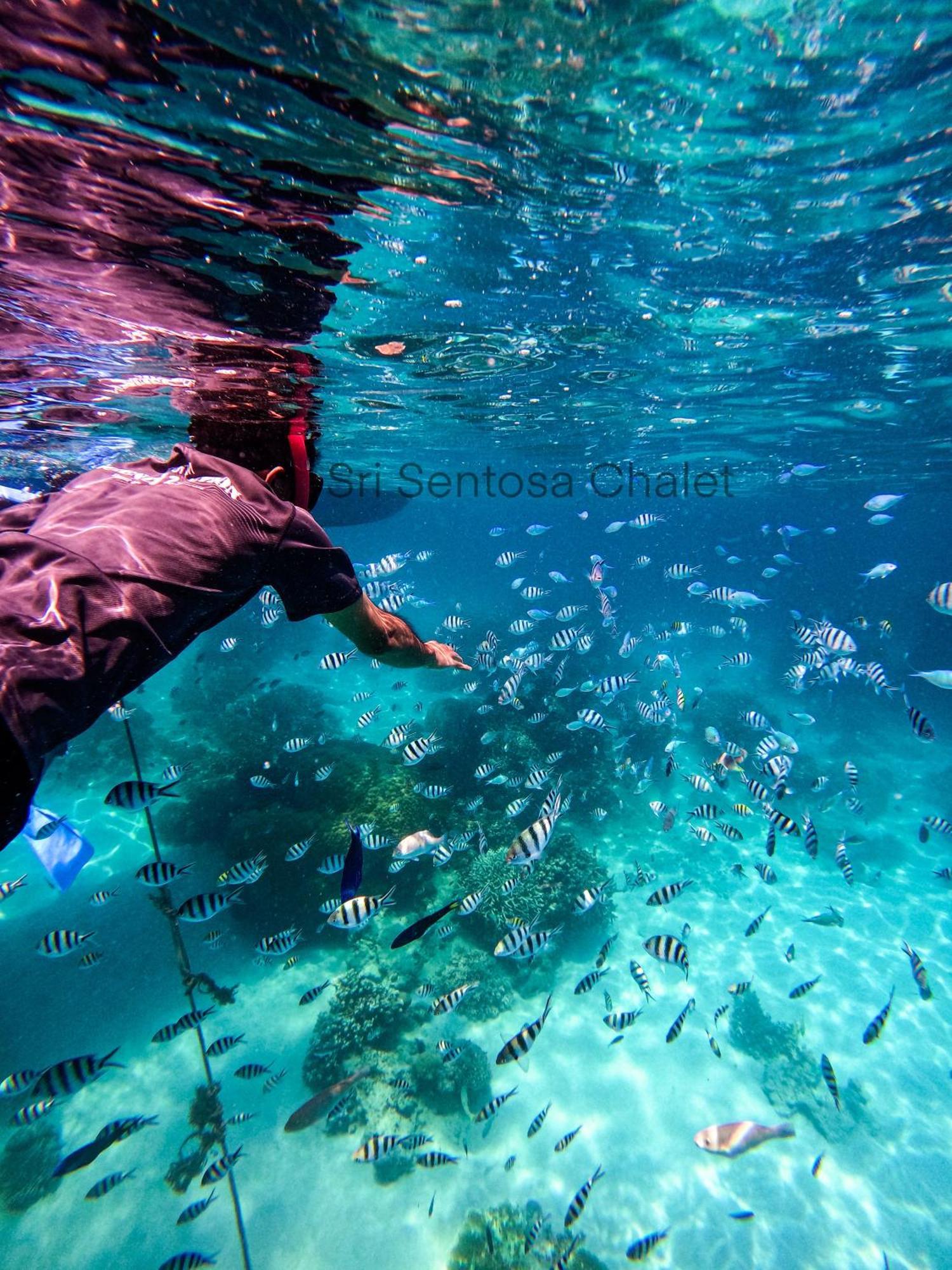 Sri Sentosa Chalet Kampong Mukut المظهر الخارجي الصورة